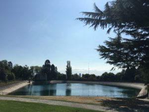 IMG_1096