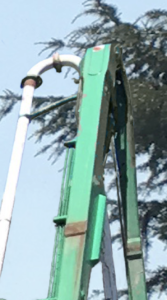 puper_arm_tree_reflection