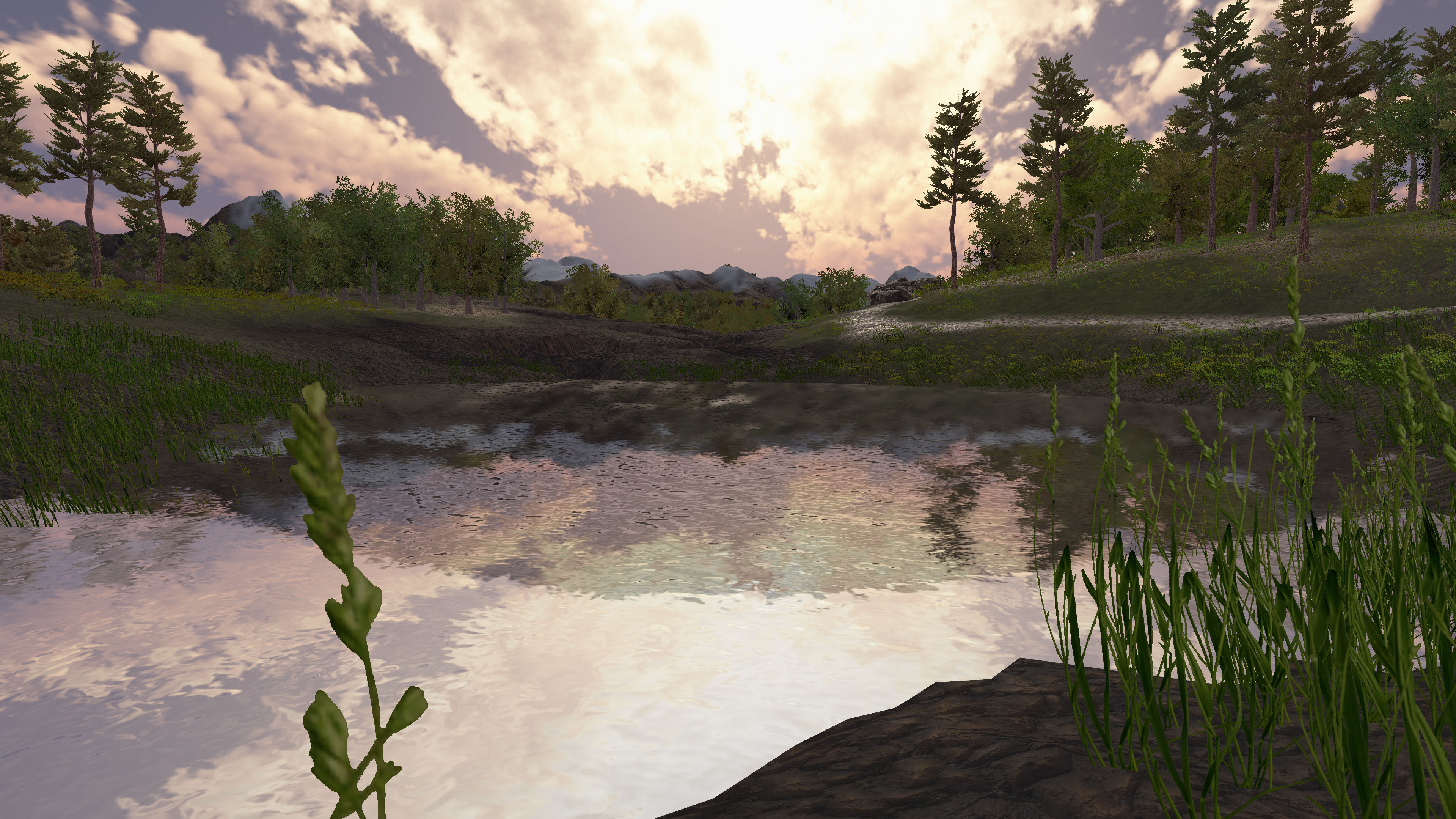 Pond at sunset