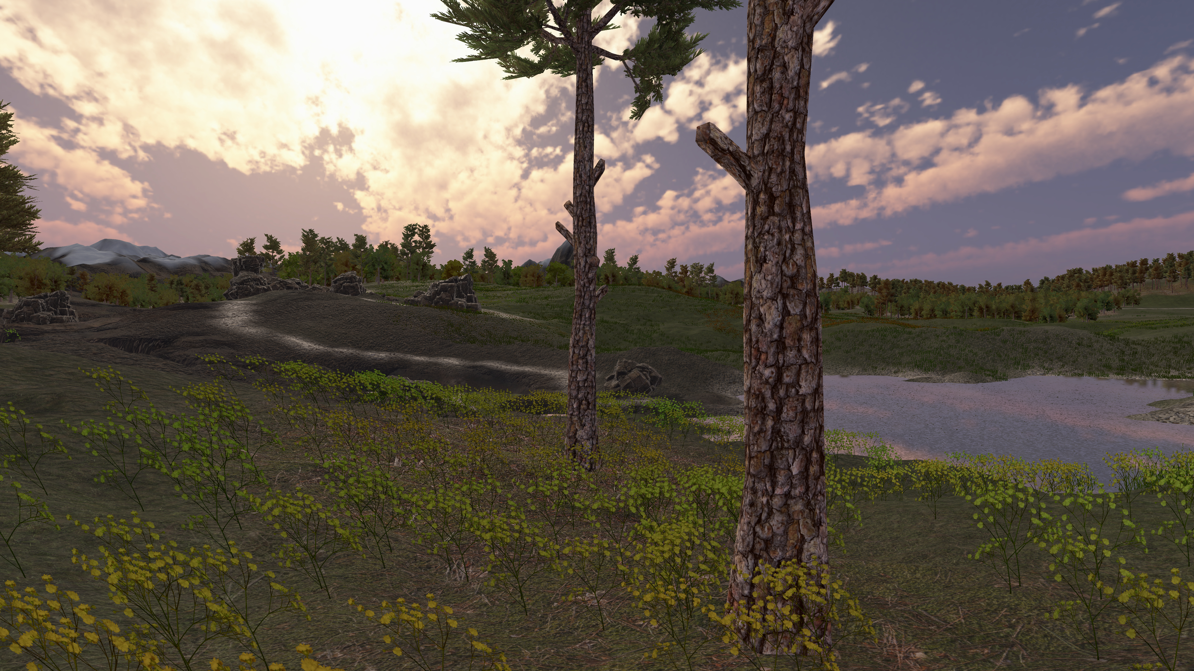 Trees, terrain, and trail composition