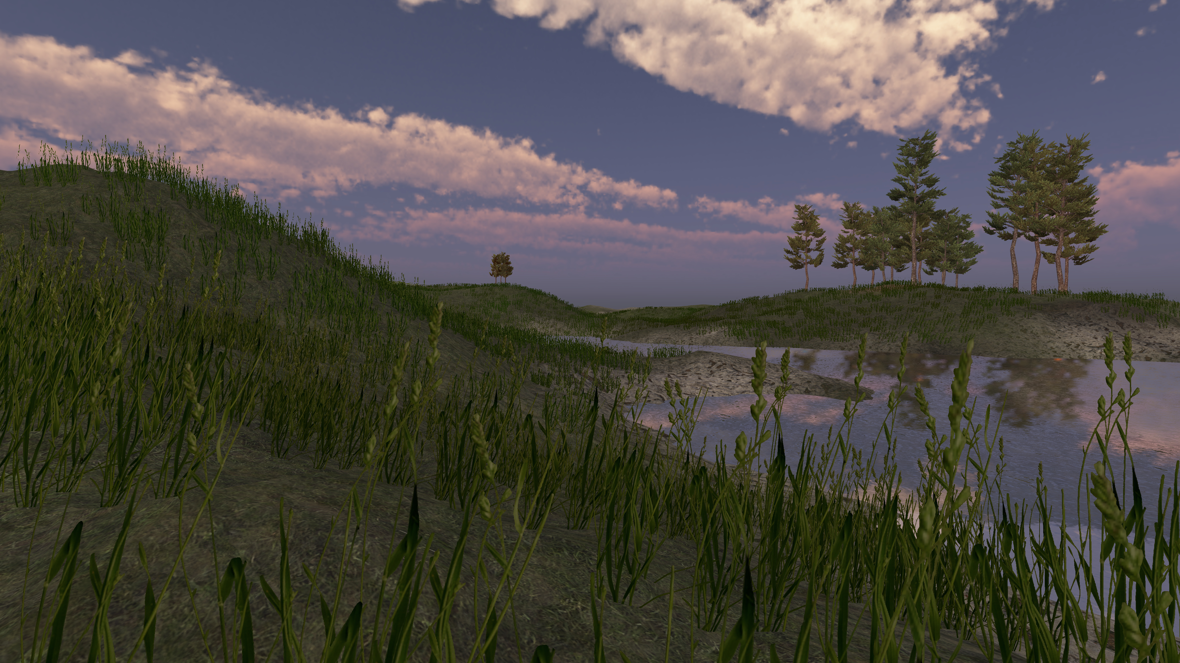 Marsh edge and distant tree line