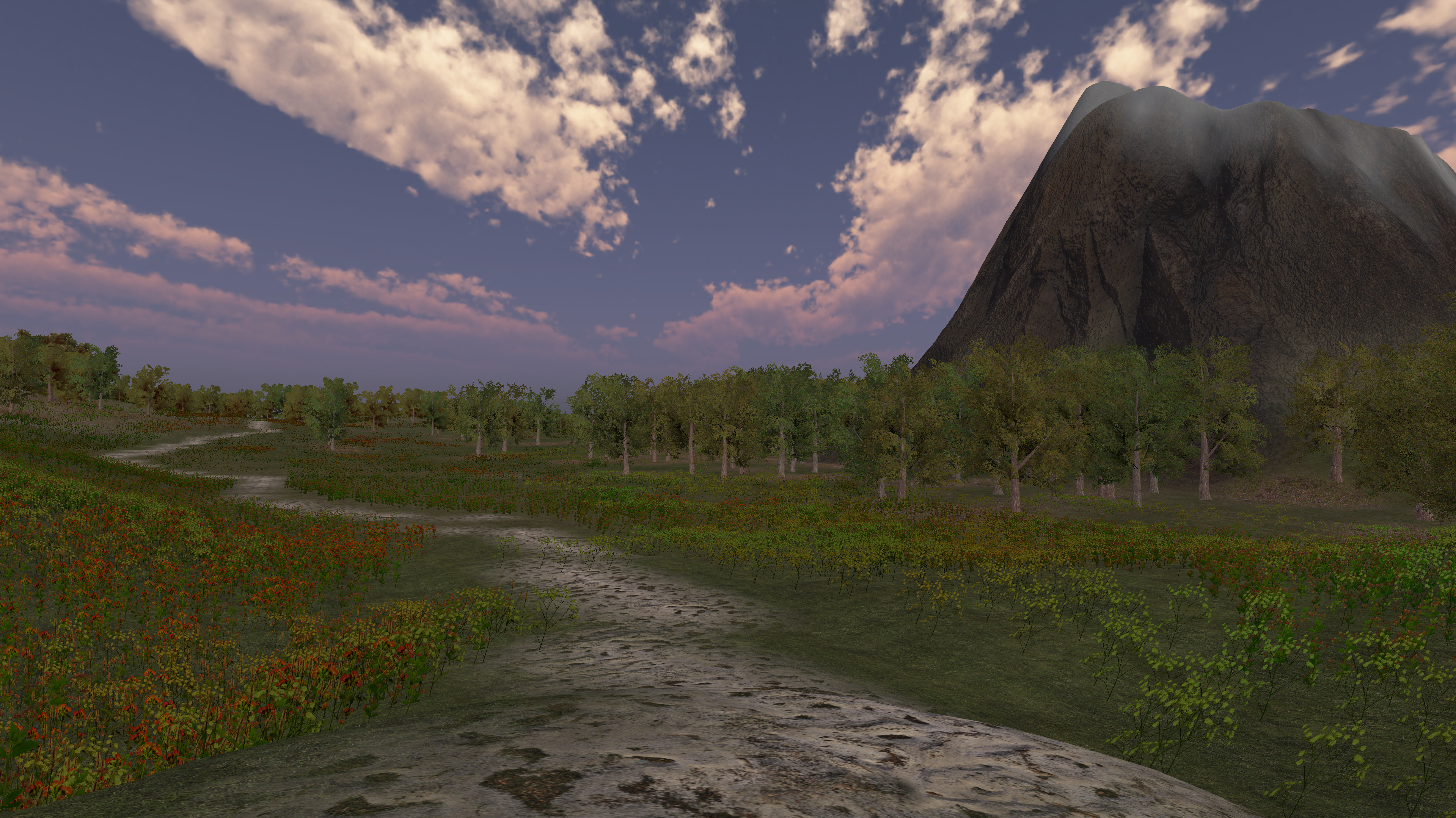 Open trail and low marshland